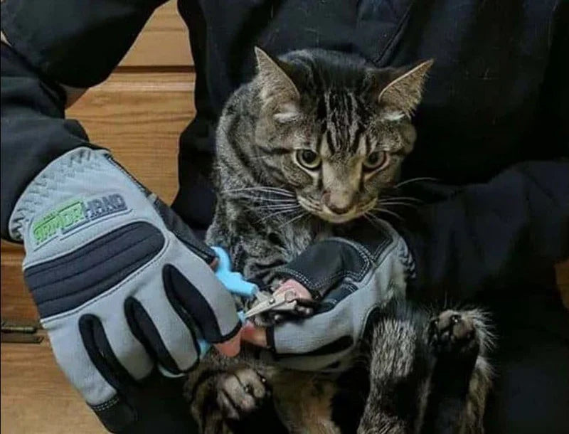 Heavy-Duty Scratch Protection Leather Gloves – Long-Sleeve Safety Mitts for Pet Handling, Gardening &amp; Animal Training | قفازات جلدية شديدة التحمل للحماية من الخدوش – قفازات أمان بأكمام طويلة للتعامل مع الحيوانات الأليفة والبستنة